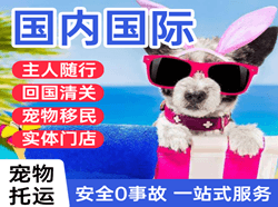 临沂启阳航空快运国际宠物托运 【国